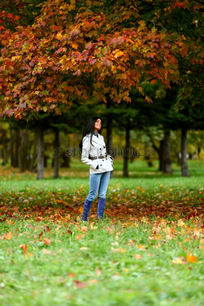 Similar – Image, Stock Photo #A# Through autumn Art