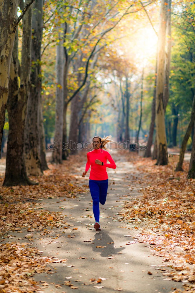 Similar – Image, Stock Photo Pedestrian in autumn