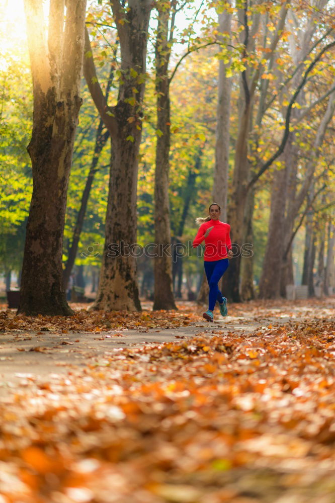 Similar – Image, Stock Photo Athletic young woman jogging along a forest track