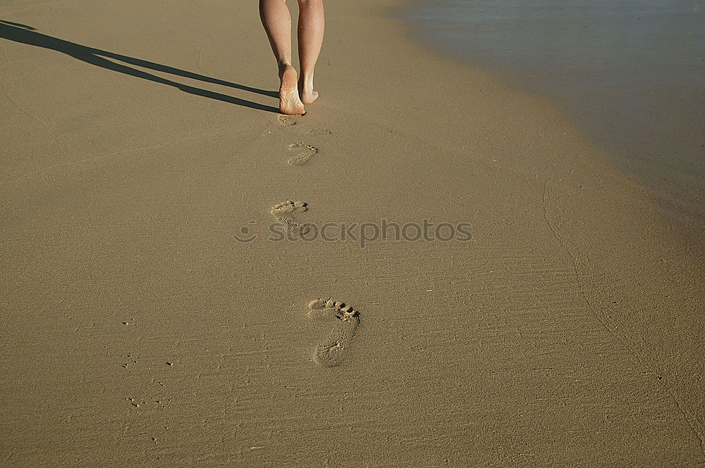 beach Beach Girl Woman