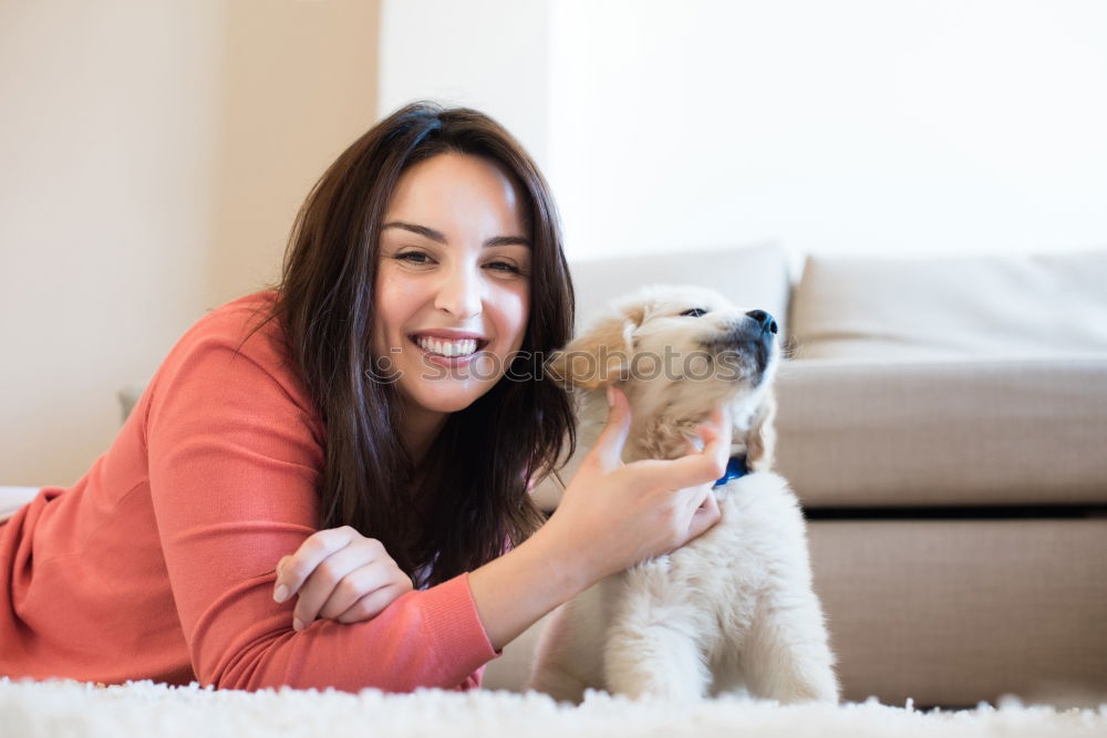 Similar – a dog and its due play on a sofa with a strong rope