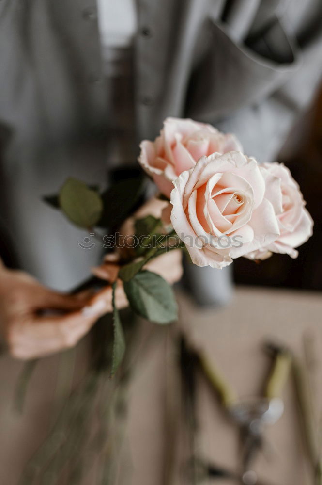 Similar – Image, Stock Photo Woman wrapping Christmas wreath with natural flowers