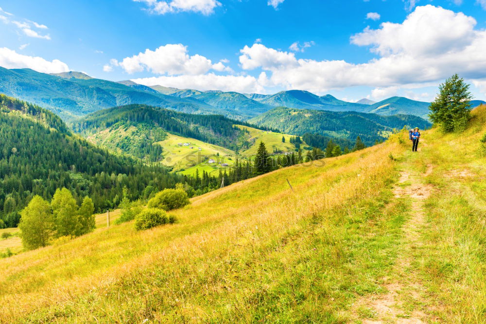 Similar – Image, Stock Photo Hiking trail in the Allgaeuer Alps