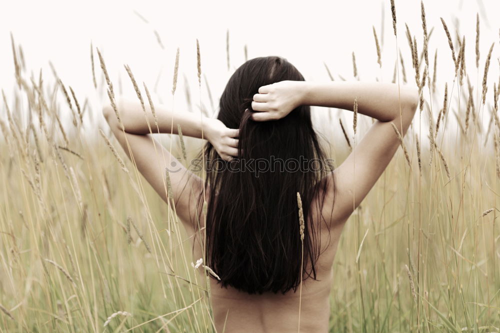 Image, Stock Photo feather blonde Happy