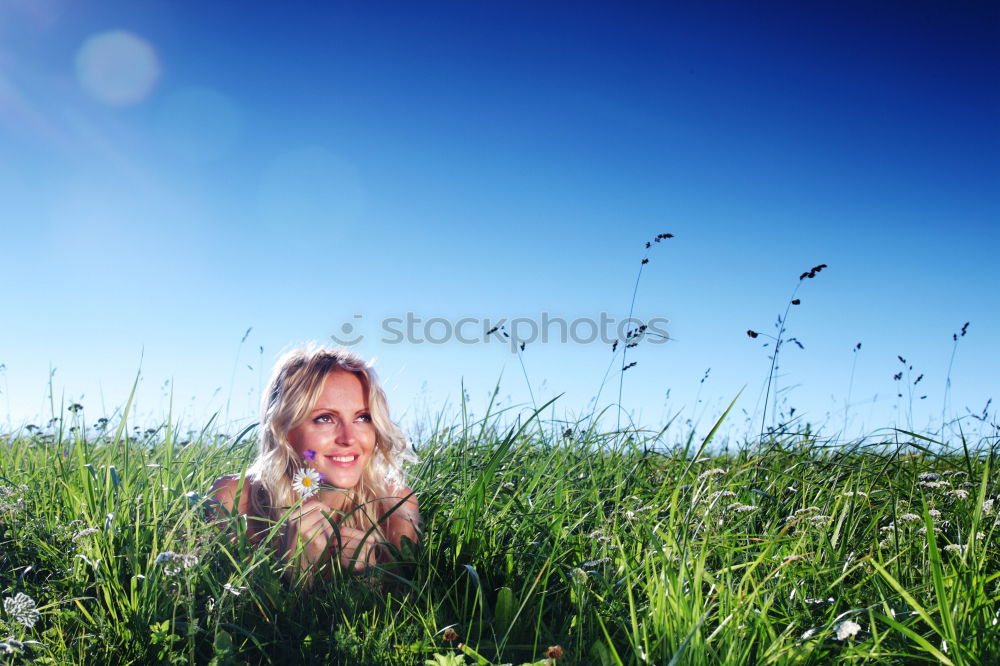 Similar – Sunbathing between blades of grass