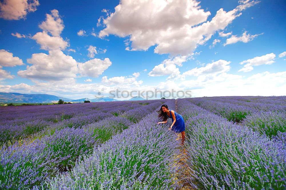 Similar – Image, Stock Photo #A# Lavender picker