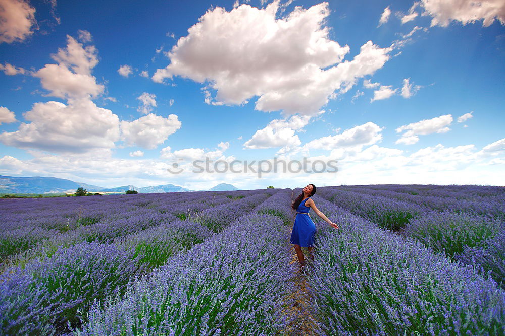 Image, Stock Photo Exploring 1 Parenting