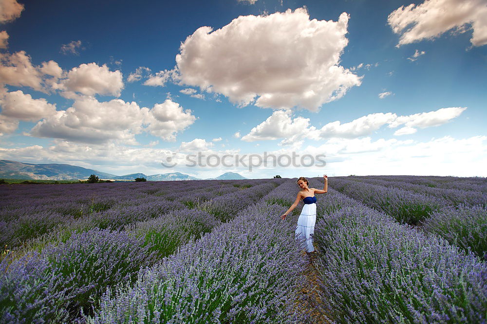 Similar – Image, Stock Photo #A# Lavender picker