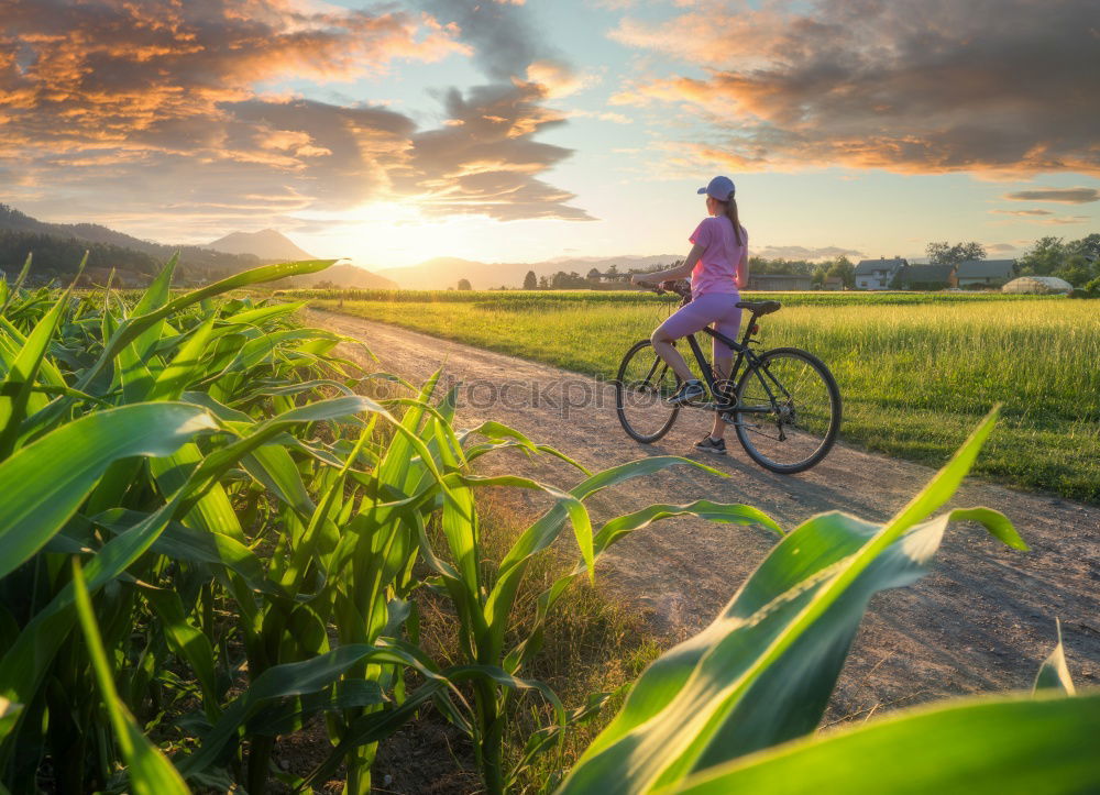 Similar – Image, Stock Photo Cross ground and field day