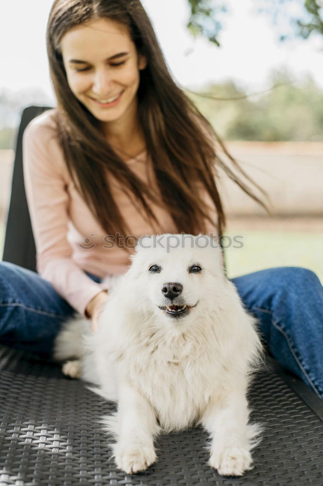 Similar – a dog and its due play on a sofa with a strong rope