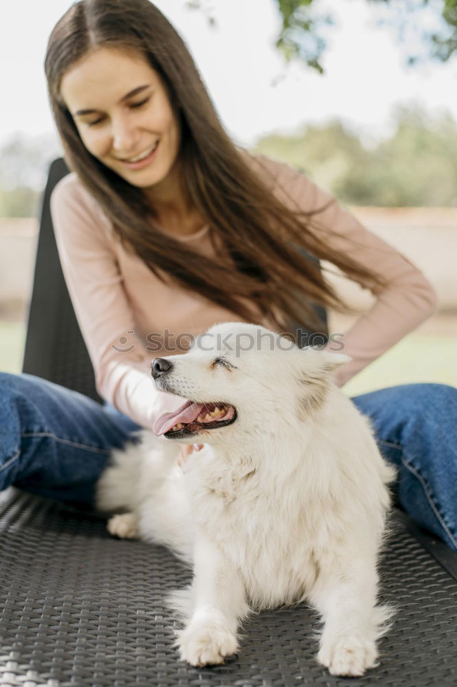 Similar – a dog and its due play on a sofa with a strong rope