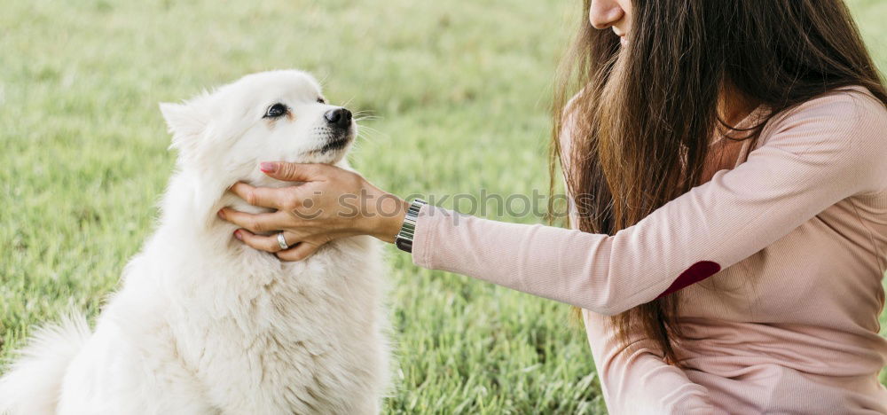 Similar – Image, Stock Photo (K)a cuddly toy