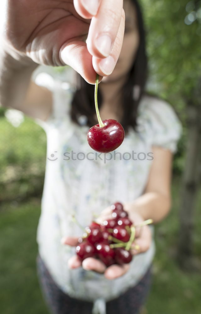 Similar – Image, Stock Photo anticipation Fruit Cherry