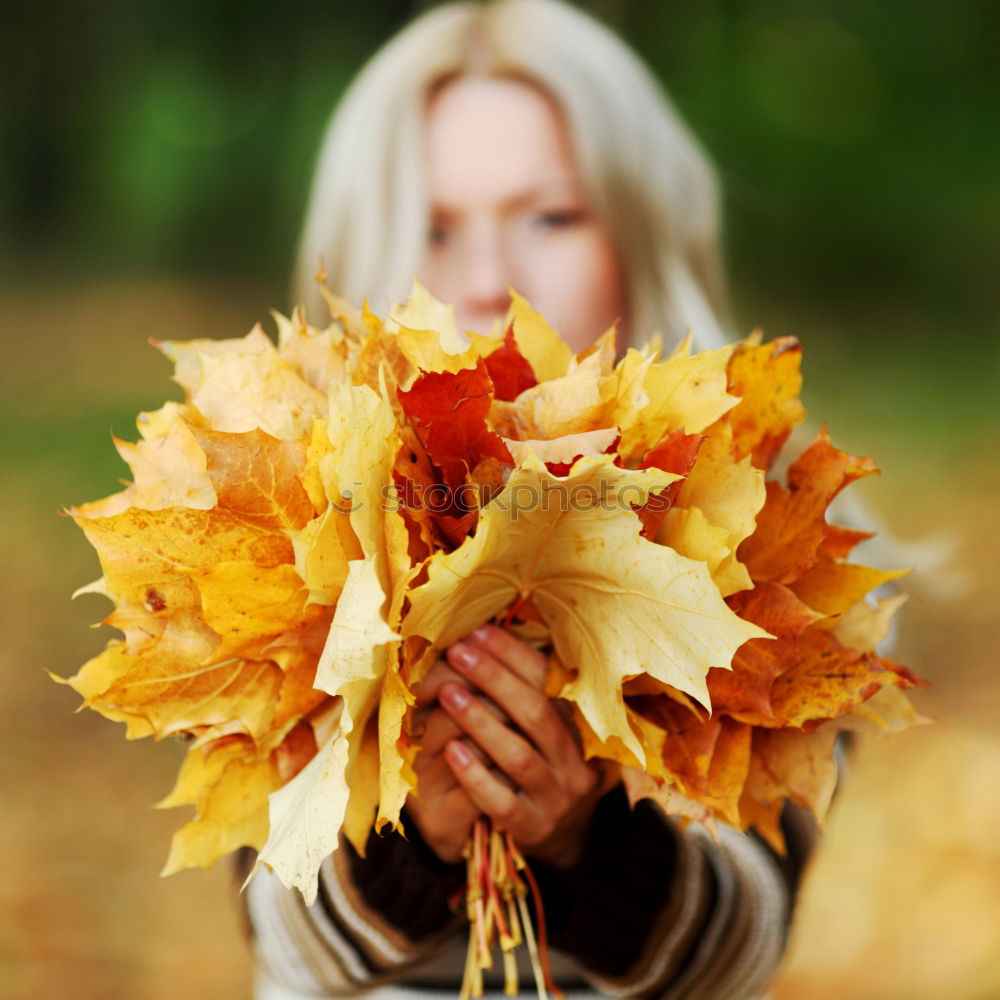 Similar – Image, Stock Photo Little kid with a big leaf in autumn