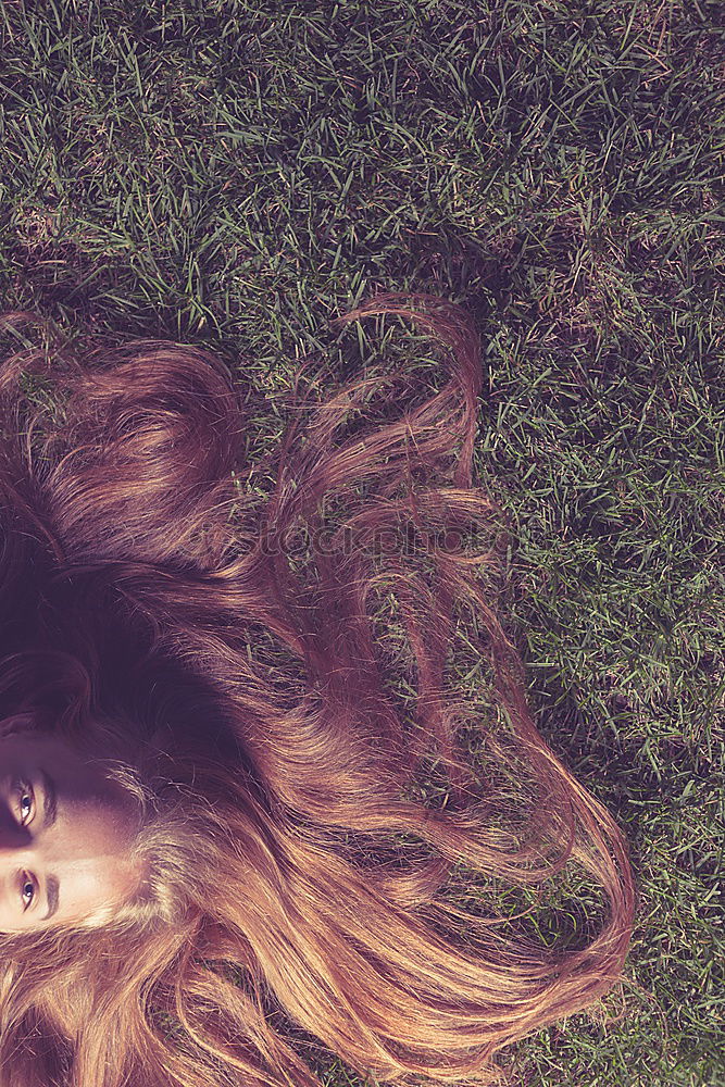 Similar – Image, Stock Photo sensual Woman Meadow Grass