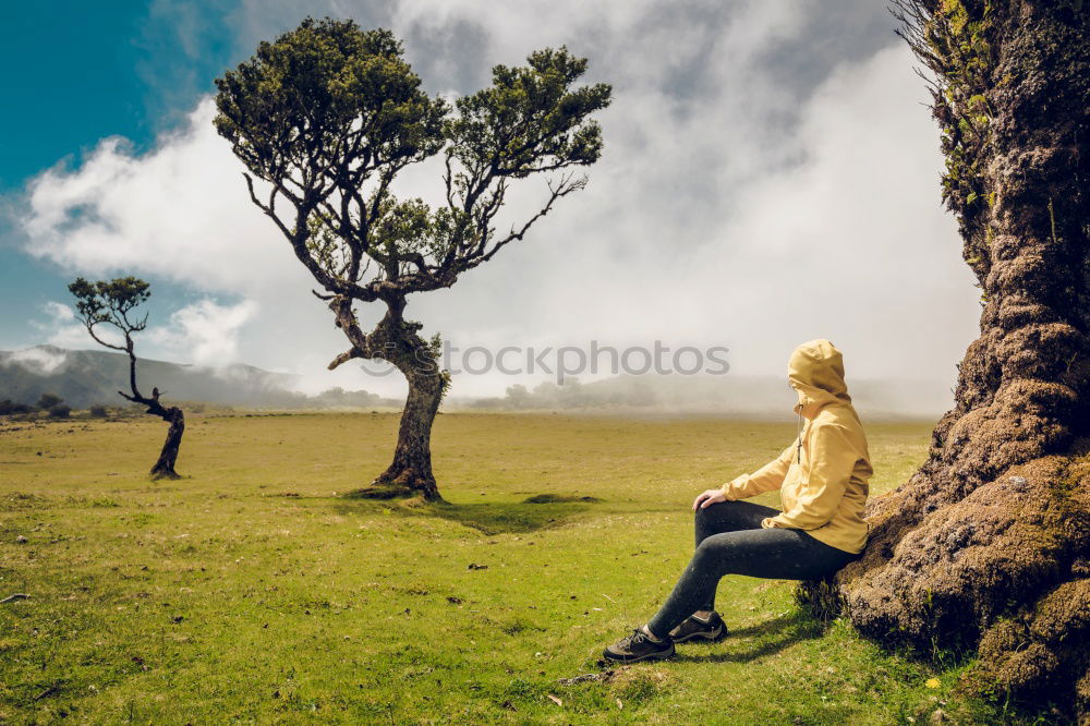 Similar – Image, Stock Photo Woman taking photo in misty woods