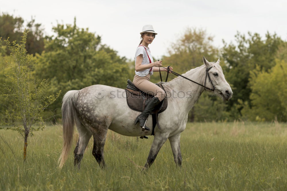 Similar – Image, Stock Photo Young woman riding a horse in nature