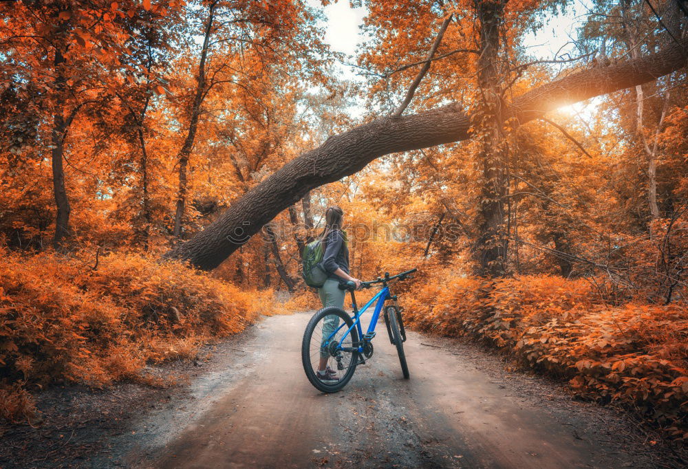 Similar – Cyclist Riding the Bike at Sunset. Sports Concept