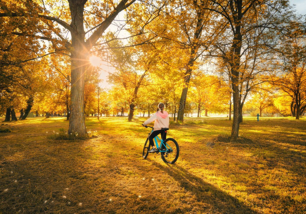 Similar – Vintage Damen Rennrad in herbstlicher Parkanlage, Totale.