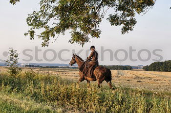 Similar – Lucky Luke & Friend Horse