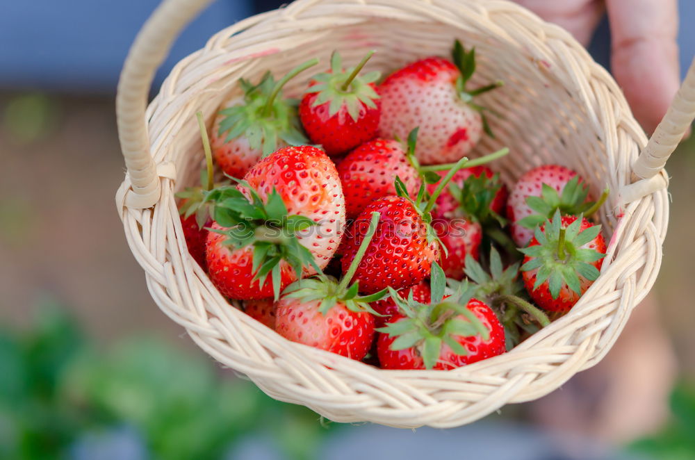 Similar – Image, Stock Photo strawberries Food Fruit