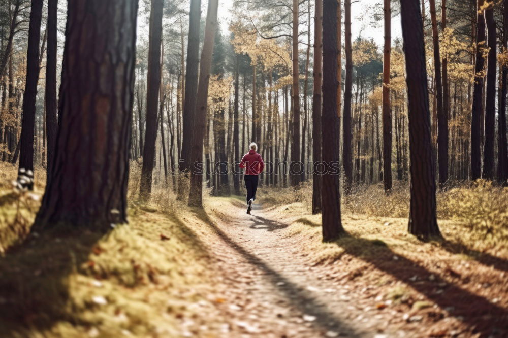 Similar – Image, Stock Photo A young woman from behind walking in an autumn forest.