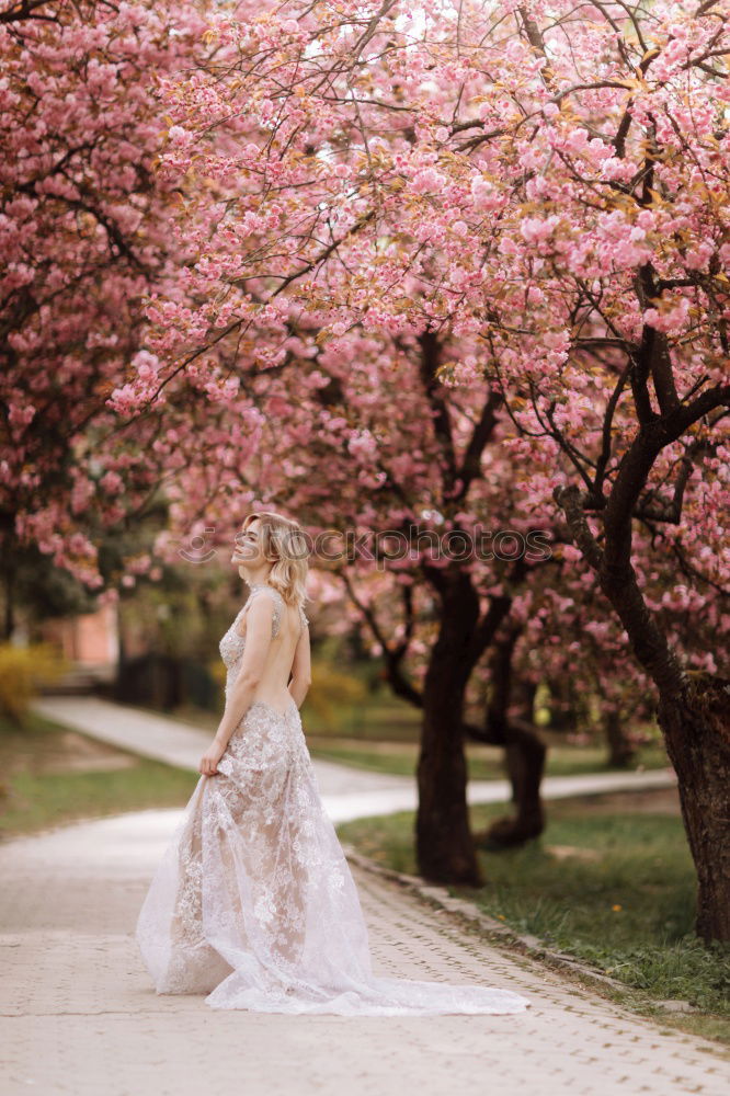 Similar – Image, Stock Photo Spring Storm Feminine