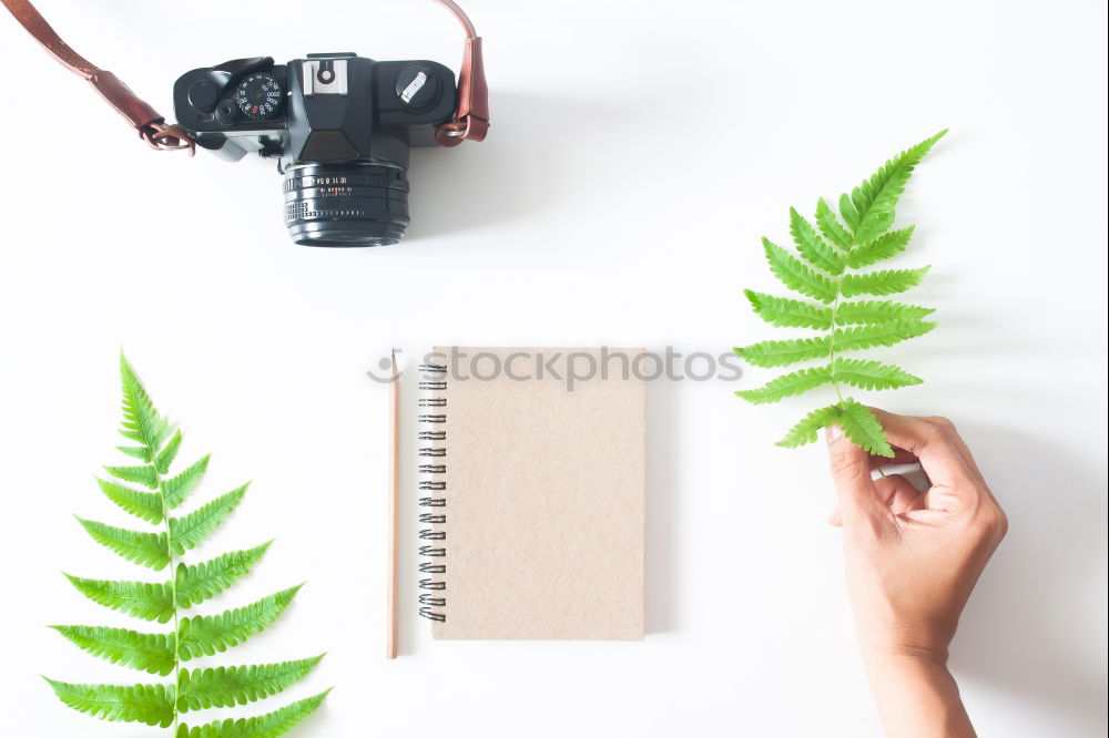 Similar – Image, Stock Photo Tablet with a handwritten “hello beautiful” on pink background