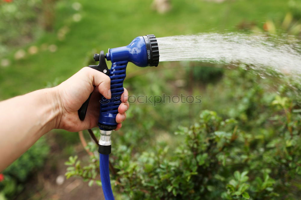 Similar – Image, Stock Photo Watering Summer Garden