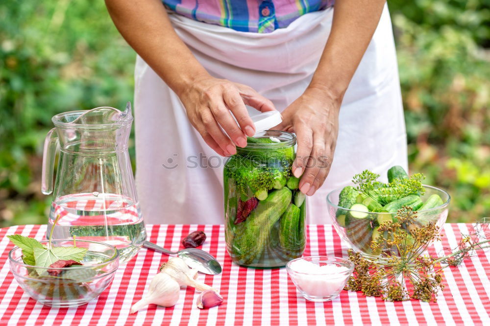 Similar – Pickling cucumbers with home garden vegetables and herbs