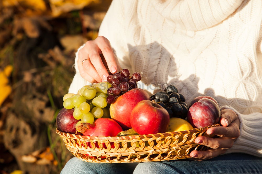 Similar – Apple harvest Gardening