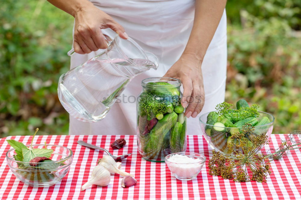 Similar – Pickling cucumbers with home garden vegetables and herbs