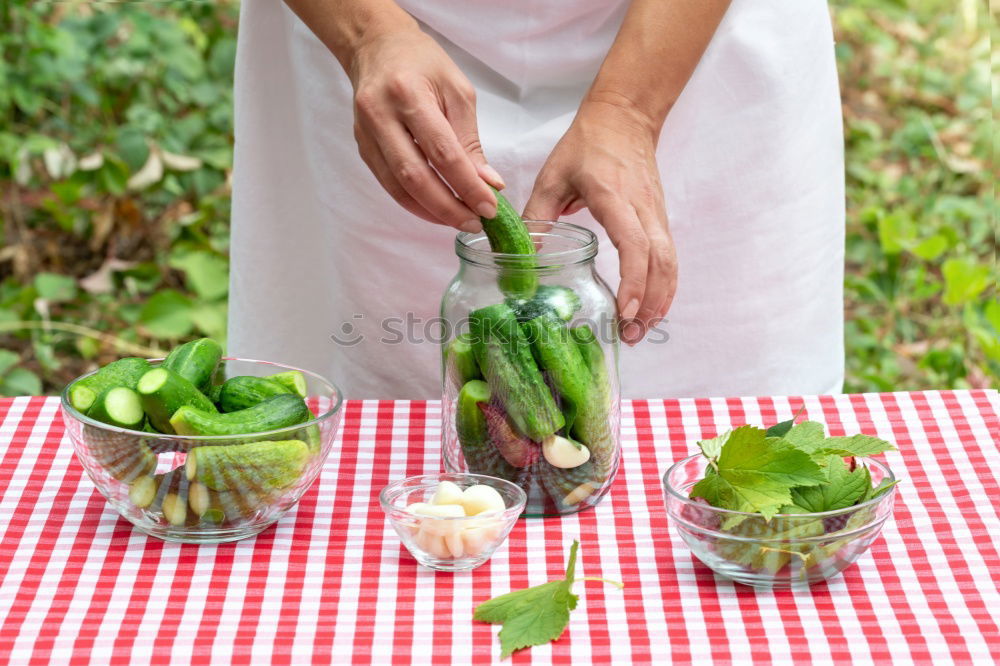 Similar – Pickling cucumbers with home garden vegetables and herbs