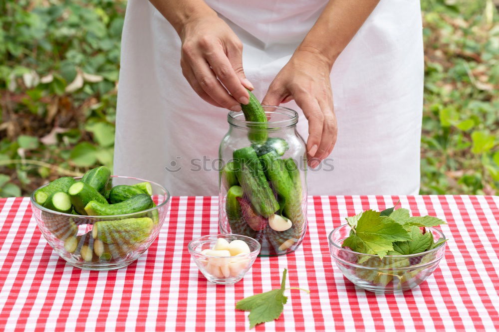 Similar – Pickling cucumbers with home garden vegetables and herbs