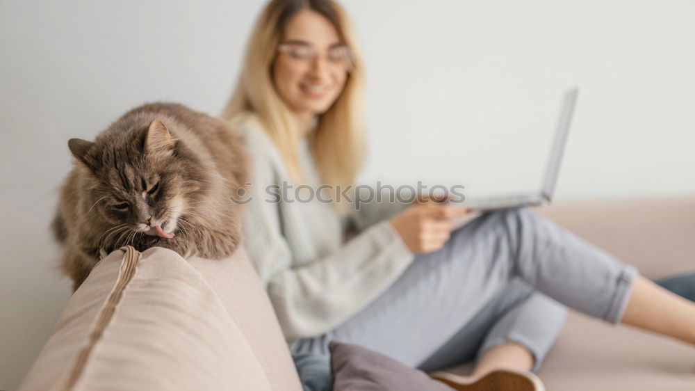 Similar – Image, Stock Photo Puppy sleeping on owner laps