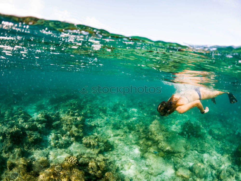 Similar – Image, Stock Photo cold clear water Summer