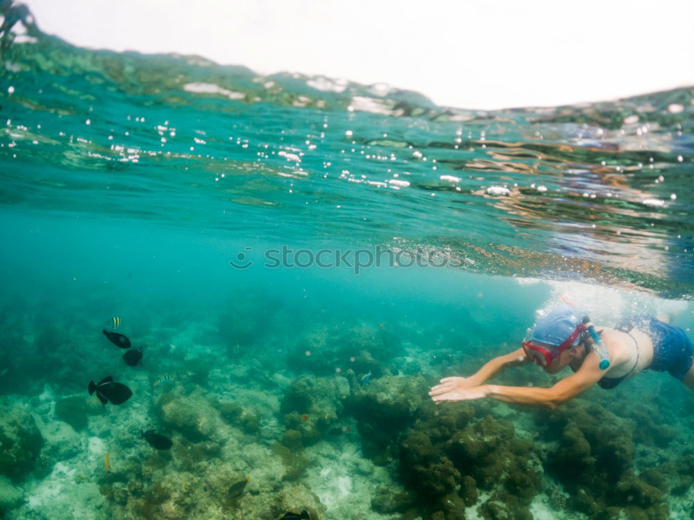 Similar – Image, Stock Photo Man in wetsuit swimming in ocean