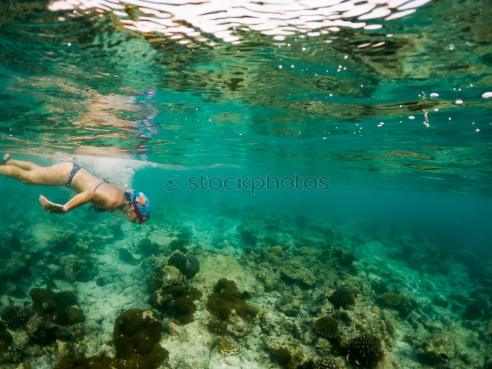 Image, Stock Photo cold clear water Summer