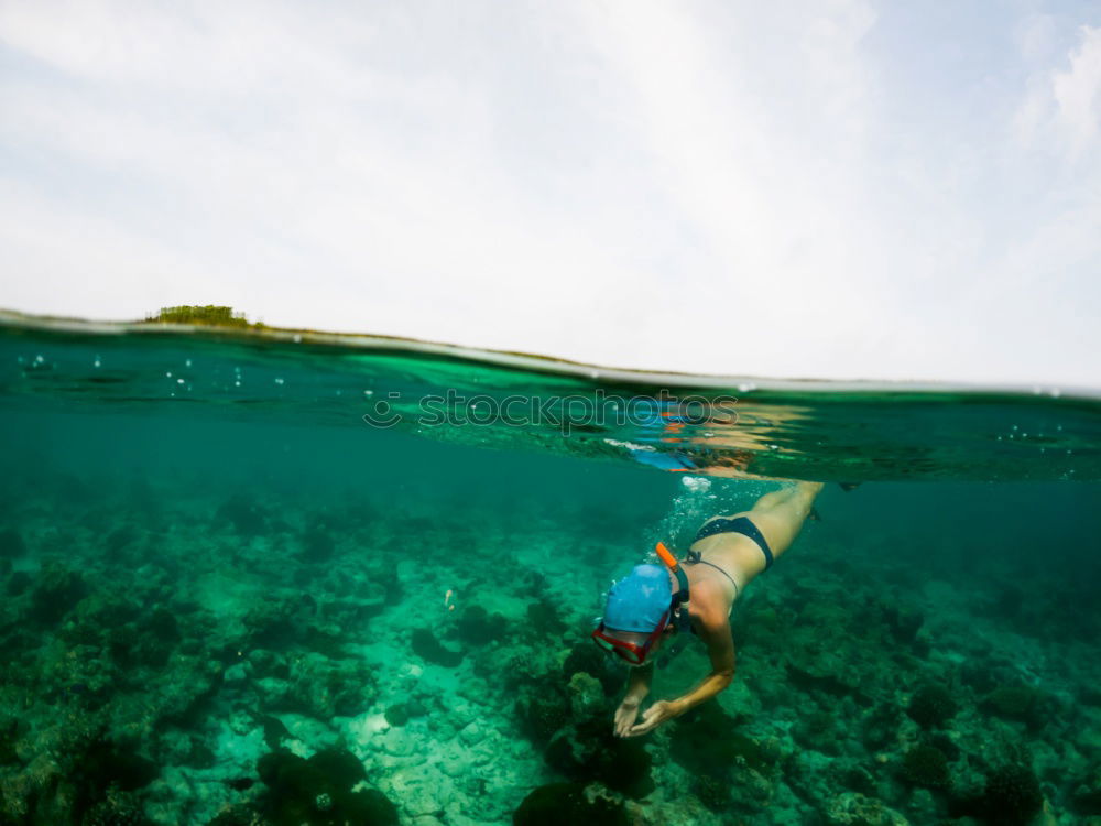 Similar – Image, Stock Photo The jump into the cold water