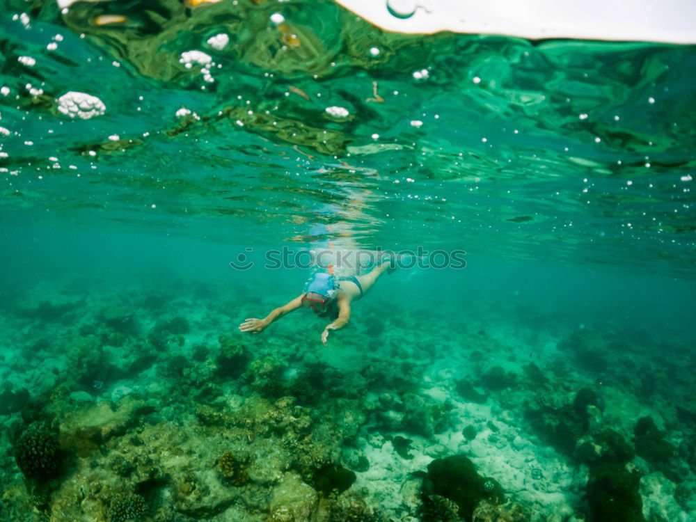 Similar – Image, Stock Photo cold clear water Summer