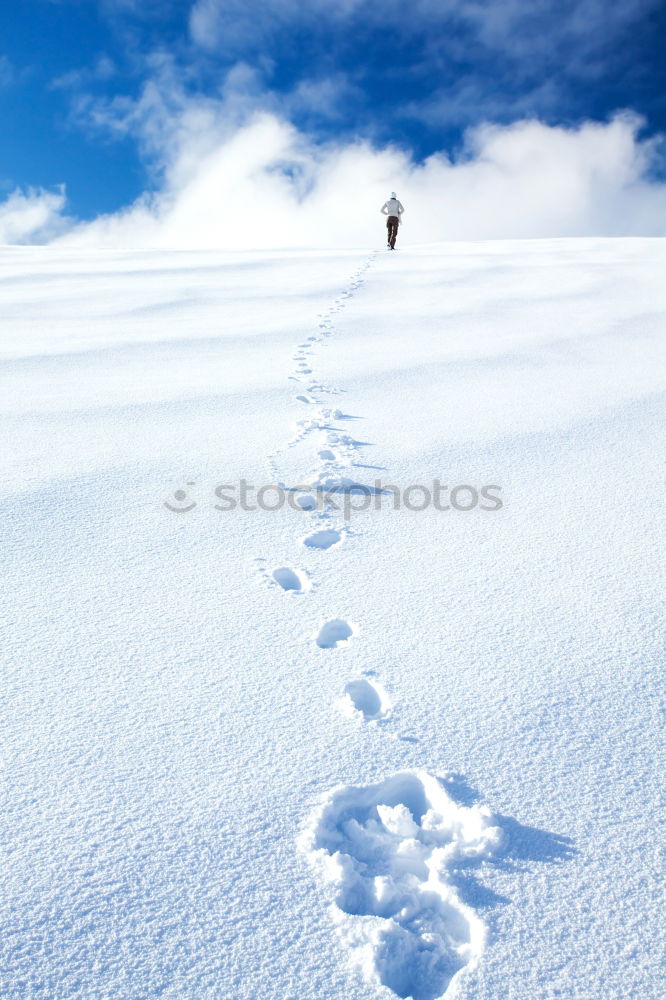 Similar – Image, Stock Photo snowshoe hike Athletic