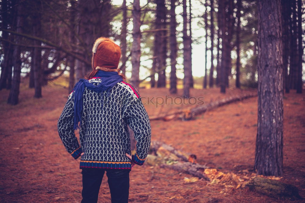 Similar – Image, Stock Photo Cheerful kid in costume posing on tree