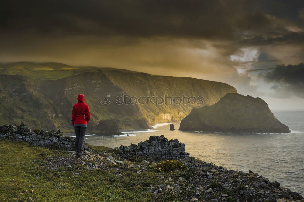Similar – Foto Bild New Zealand XXIII Umwelt