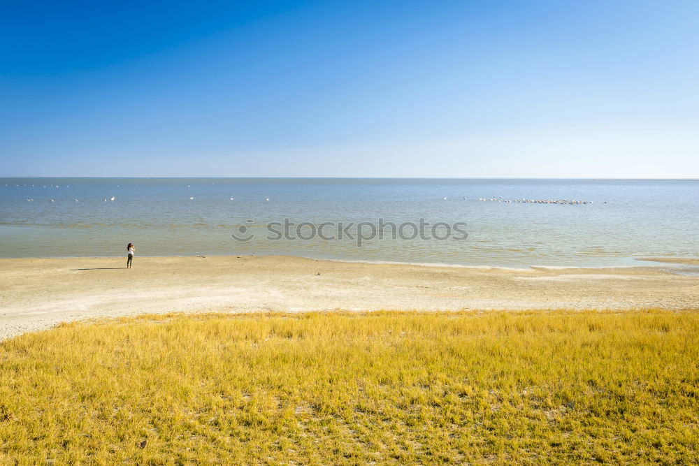 Similar – Beach chairs at the Baltic Sea beach