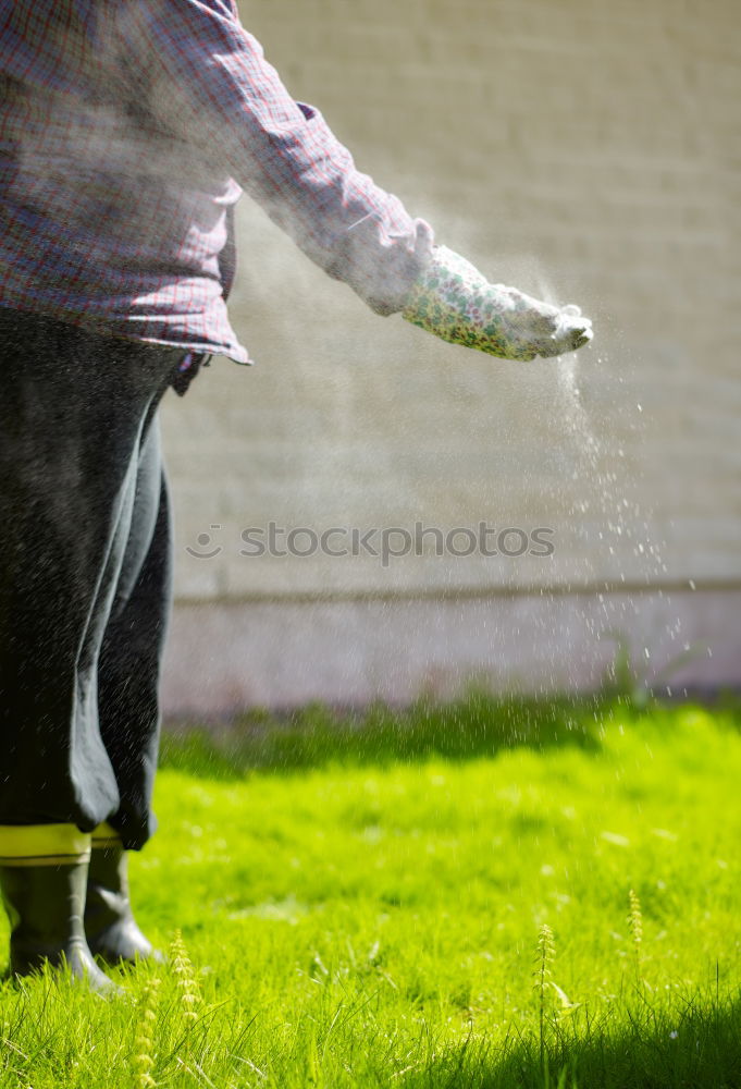 Image, Stock Photo CIRCUS IN DOWN Circus