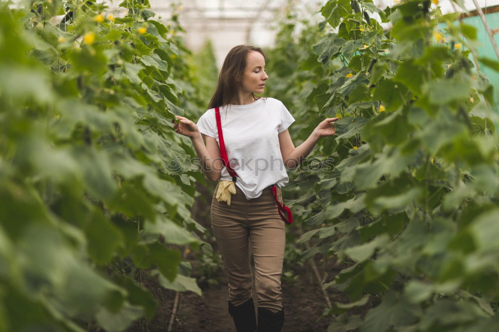 Similar – Image, Stock Photo Happy young woman farmer with wheelbarrow working in the greenhouse collecting vegetables. working in back yard, sunny nature. Funny rural collecting.