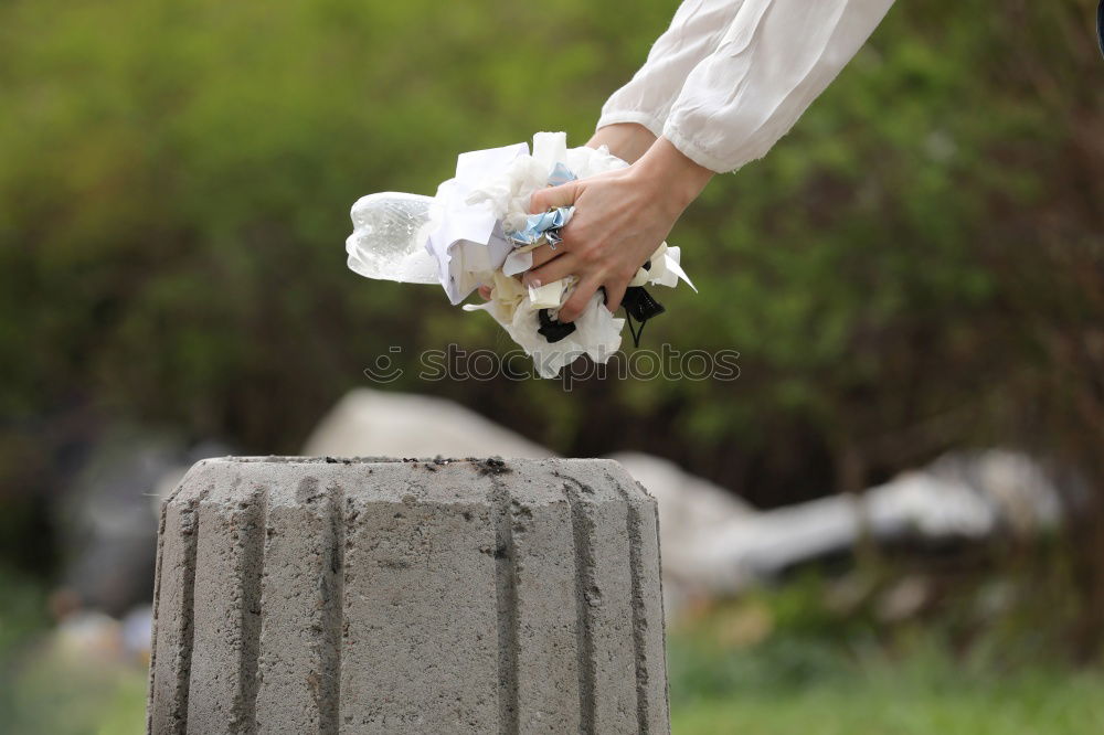 Similar – Image, Stock Photo “A herd of nothing!”