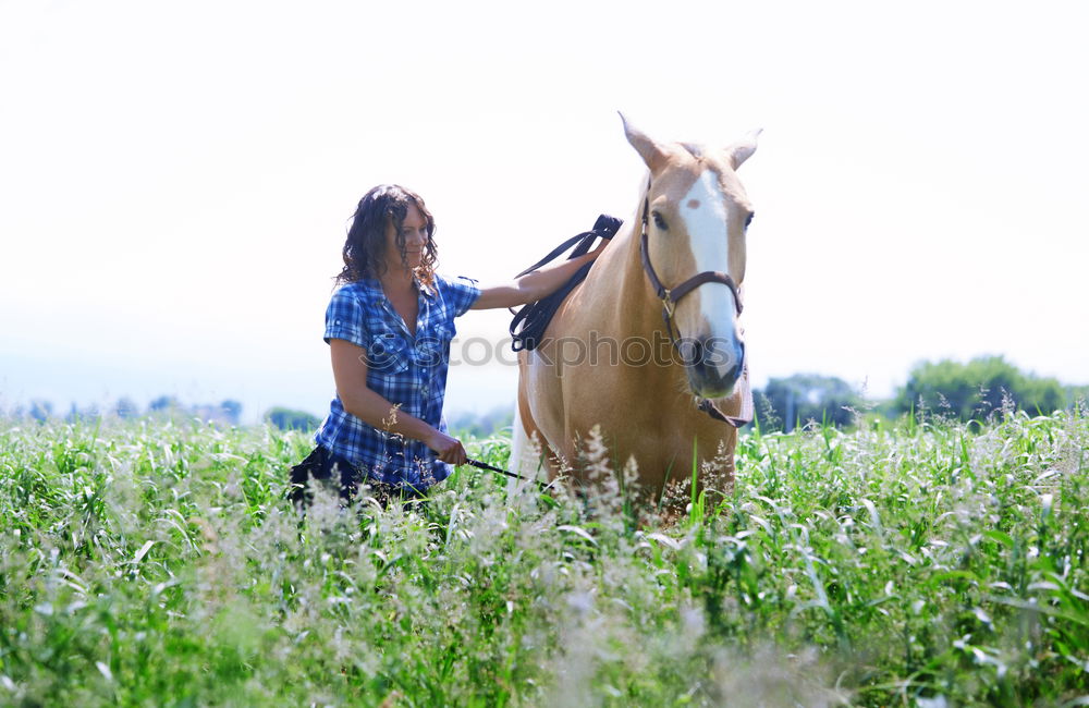 Similar – Image, Stock Photo Beautiful young rider woman with horse in nature. Love and friendship between man and animal. Portrait in landscape near horse stable of riding farm with riding school or farm with pet for hobby riding.