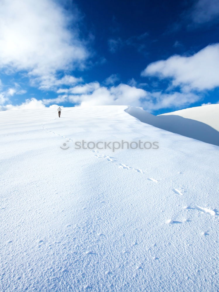 Similar – Image, Stock Photo Tracks in the snow