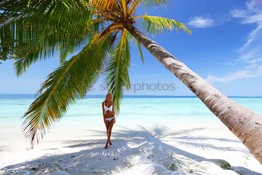 Similar – Maldives island luxury resort palm tree with hanging hammock